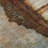 Premium Machine Washable Mayfield Abstract Rug-400838057-400838052