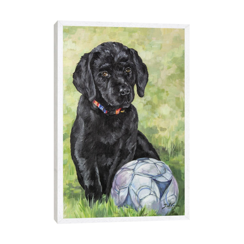 Soccer Lab by Debi Coules - Gallery-Wrapped Canvas Giclée on Canvas, 66.04 cm H x 45.72 cm W, White Floater Frame