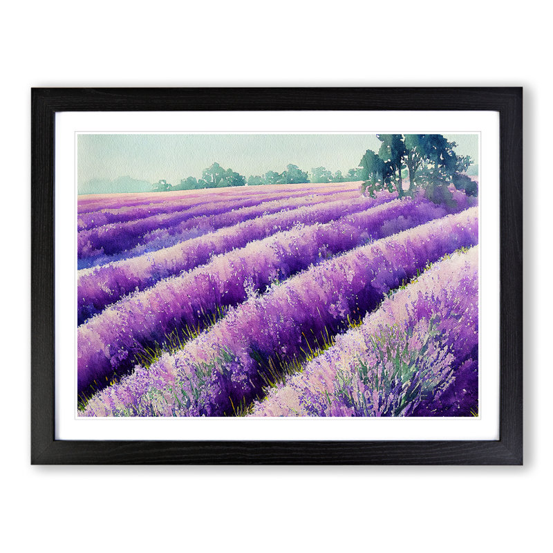 Lavender Field Vol.7 - Framed Print, Black, 46cm H x 64cm W x 2cm D