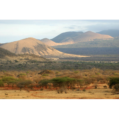 Savane africaine - photographie sur toile tendue