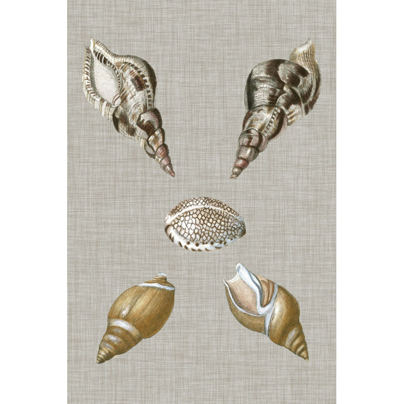 Coquillages sur lin IV, H 12 po x l 8 po