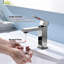 Monte Single Hole Stainless Steel Bathroom Faucet-48358282