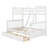 Bunk Bed with Ladder and Drawers-1828535390