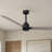 Alessandra 56'' Ceiling Fan-1813772011-1813771988
