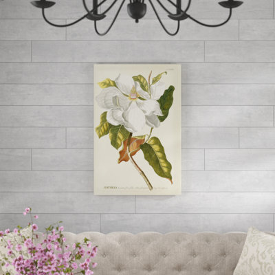 Magnificent Magnolias I by Jacob Trew - Painting on Canvas