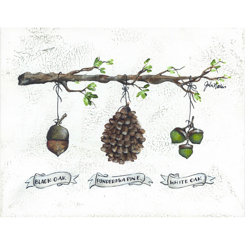 «Pinecone Acorn Study» par Julie Norkus, reproduction sur toile tendue, L 48 po x H 36 po