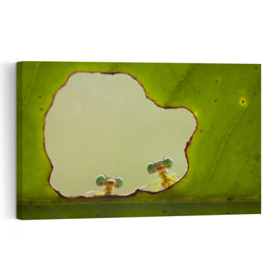 Tiny Damselflies Peek Abstract Forest Landscape Wall Art Print by Abdul Gapur Dayak - Print