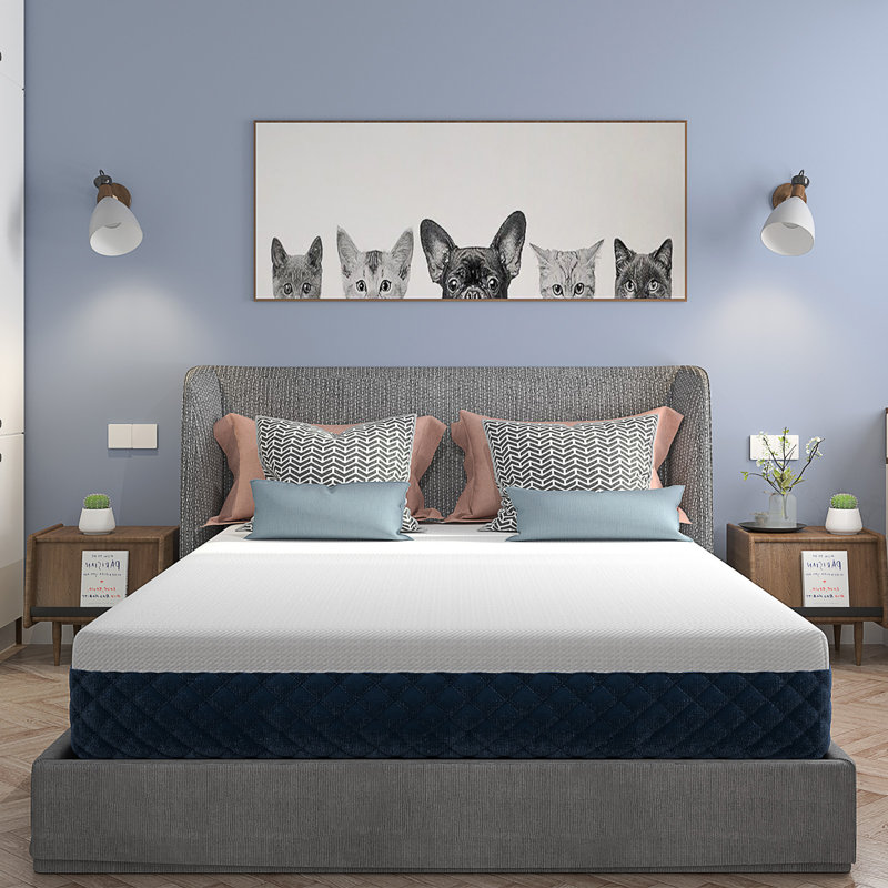 Grand matelas en mousse viscoélastique imprégnée de gel 10 po Mouser
