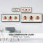 Coccinelle-42975858