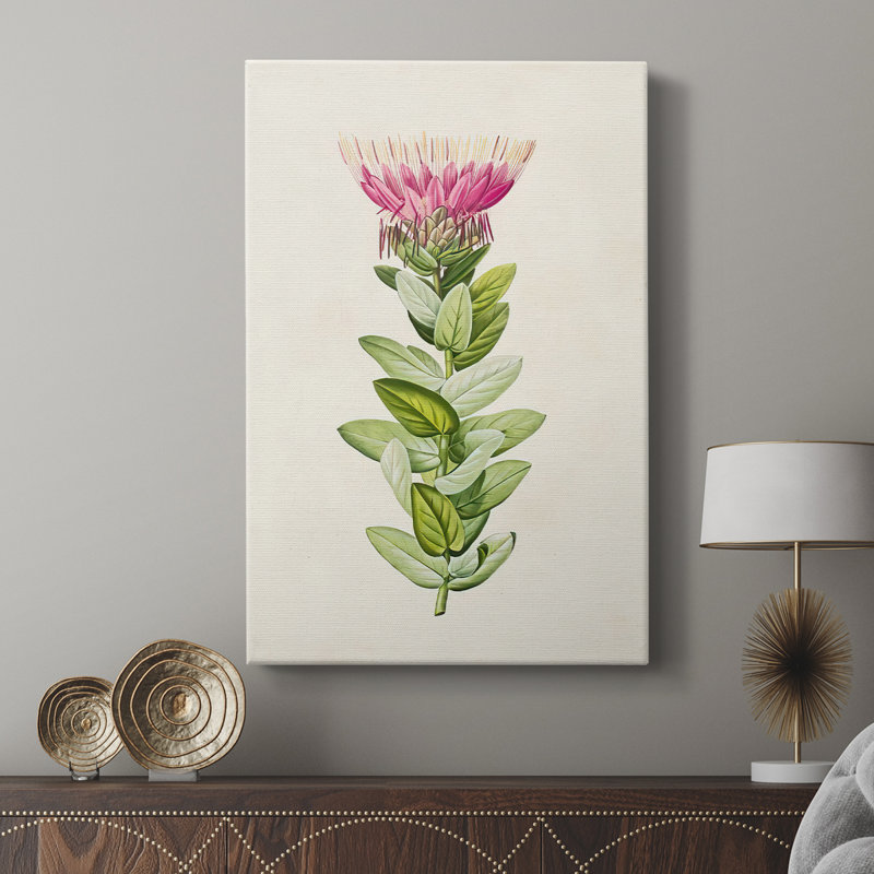Pretty Pink Botanicals IV - Gallery Cavas, H 60 po x l 40 po