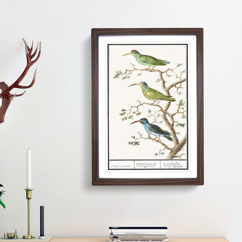 Three Hummingbirds by A.B. de Boodt - Picture Frame Painting Print, 36cm H x 27cm W x 2cm D, Walnut Framed