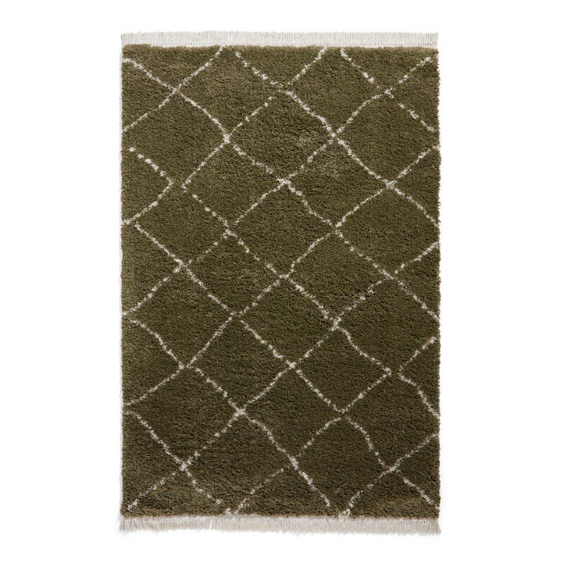 Pechler area rug Machine Woven Green, Rectangle 80 x 150cm