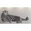 Animals Wall Decal