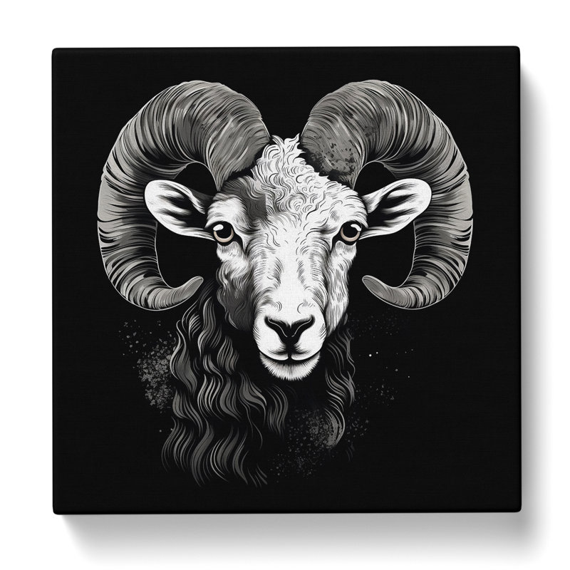 Ram Sheep No.2 - Wrapped Canvas