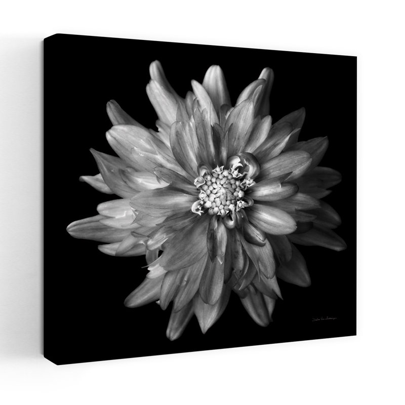Dahlia contemporain V Bw avec art noir et blanc, H 48 po x l 48 po