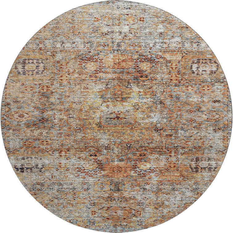 Premium Machine Washable Ducote AMF1143 Global Rug
