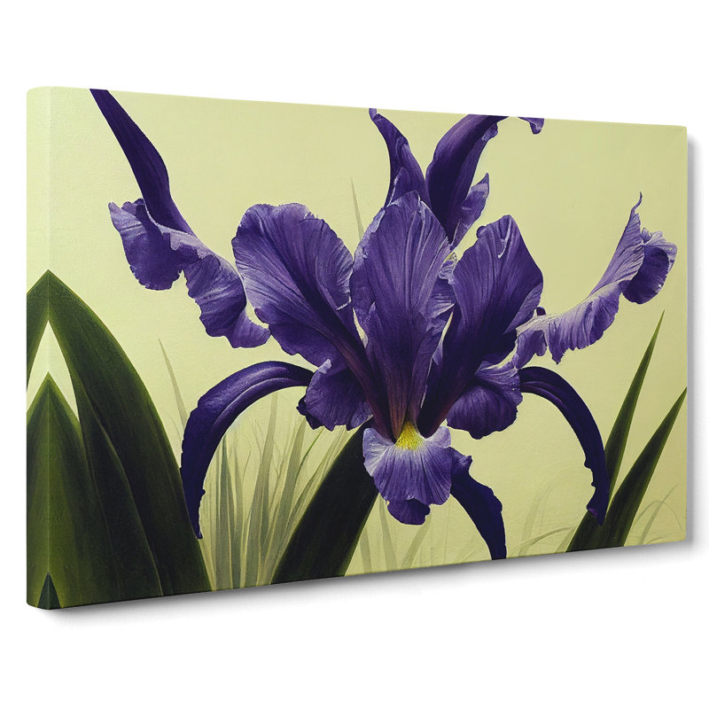 Cute Iris Flowers - Wrapped Canvas, 35cm H x 50cm W x 3cm D