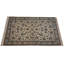 Plamedi Oriental Area Rug in Beige