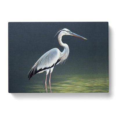 Ingenious Heron Bird - Wrapped Canvas