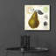 Art mural épique «Pear Notes» par Studio Mousseau, art mural en verre acrylique, 36 po x 36 po-1448525954