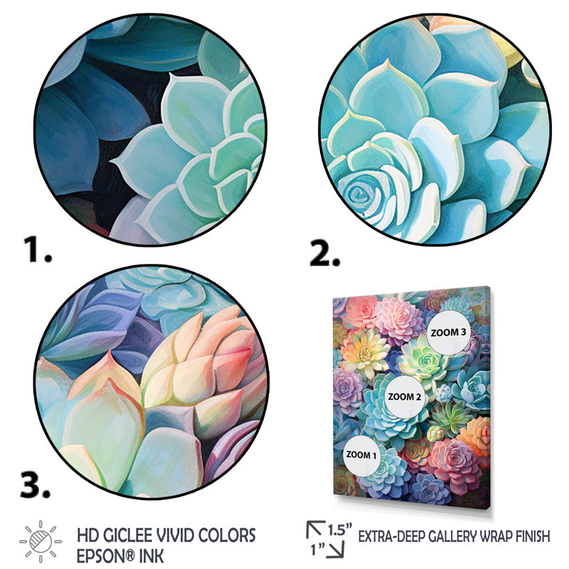 «Eugine Green Blue Succulents Succulent Dreams», reproduction sur toile, H 32 po x l 24 po x P 1 po, Cadre flottant noir