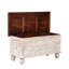 Zalia Accent Trunk