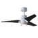 LED Ceiling Fan