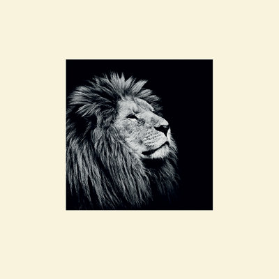 Majesty by Nicolas Evariste - No Frame Print