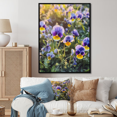 " Purple Yellow Natures Pansies III "
