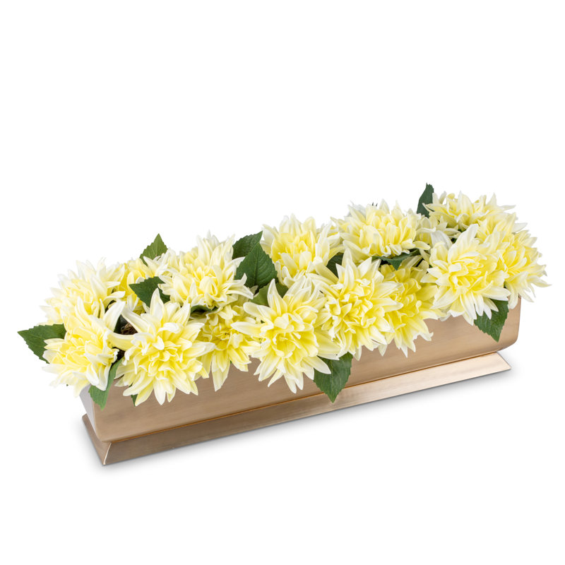Auge dorée Carlotta RealTouch Dahlia, Citrine