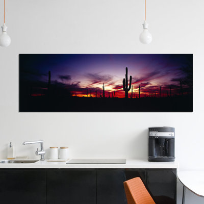 Sunset brilliant, parc national de saguaro, comté de pima, arizona, états-unis-reproduction de photo sur toile tendue