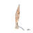 Kurt Adler 9.65-Inch UL 10-Light 8-Point Capiz Star Lighted Tree Topper