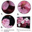 Ensemble de 5 décorations murales fleur de cerisier rose II-1692414857