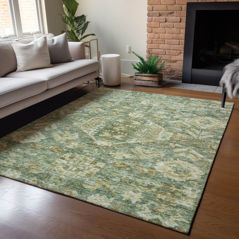 Machine Washable Indoor/Outdoor Jadiel ACN2356 Traditional Rug, Rectangle 8' x 10'
