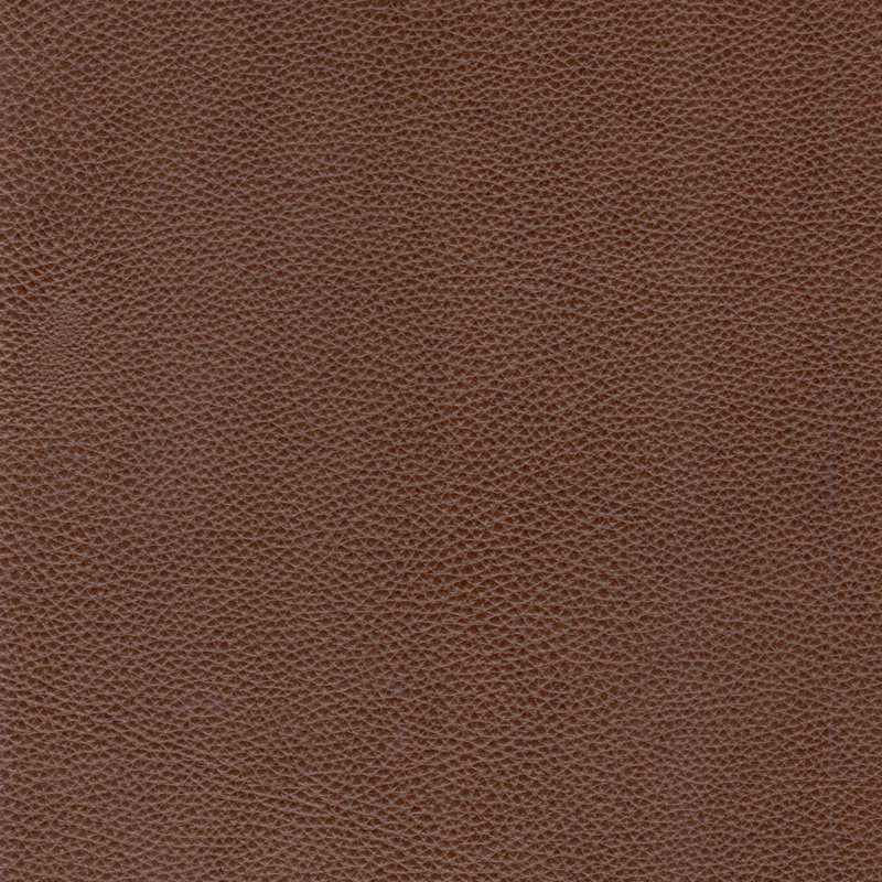 Canapé moderne en cuir
