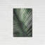 «Palm Frond I Green» par Debra Van Swearingen-1215823225