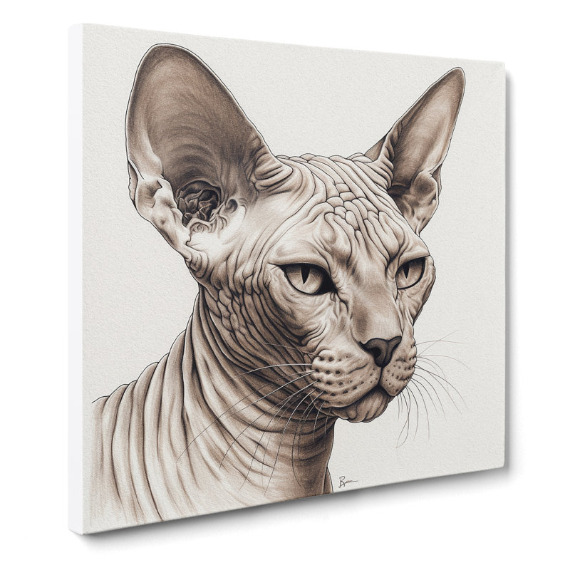 Sphynx Cat No.1 - Wrapped Canvas - Framed Print