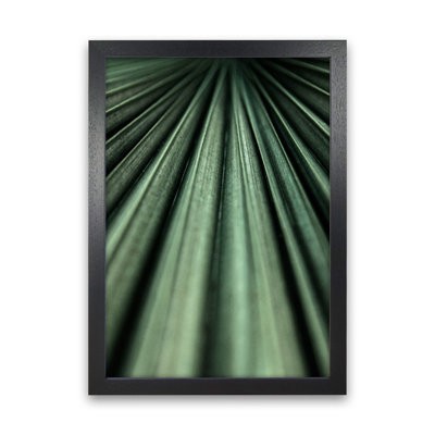 Green Palm Leaf by Victoria Frost - Print
