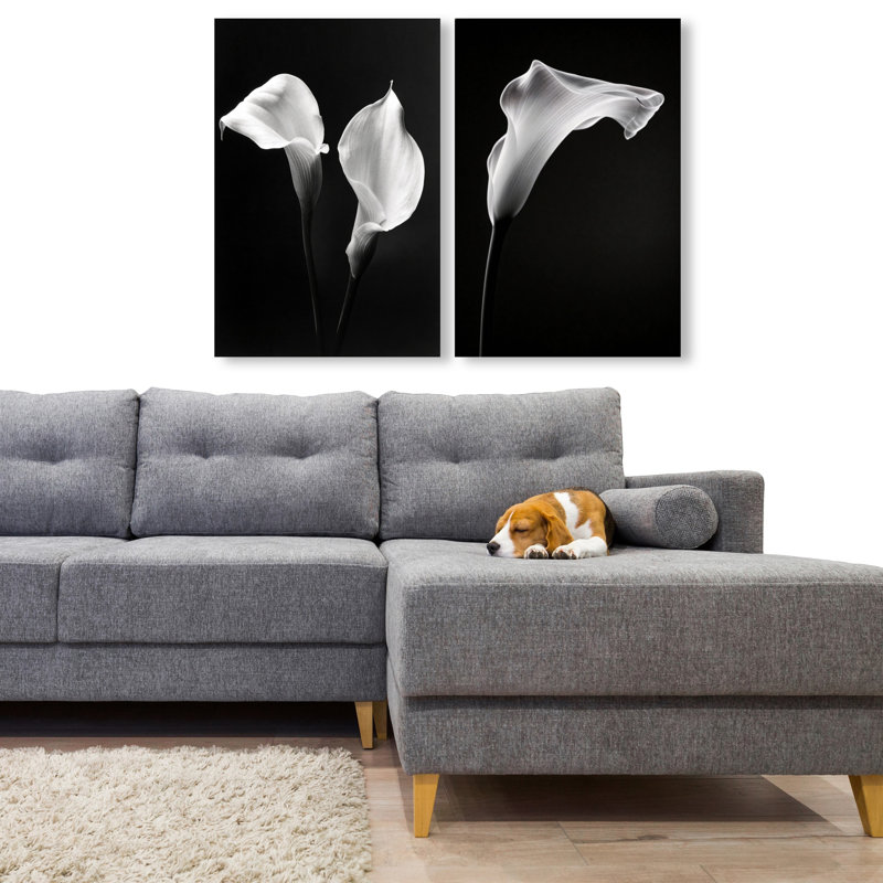 Calla Lily Set Set by Oliver Gal, 24" H x 16" W, Gallery Wrapped