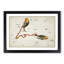 Astronomical Zodiac Chart Of The Pisces - Single Picture Frame Painting-57844184-57844186