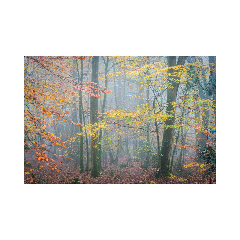 October Forest Mood by Philippe Manguin - Wrapped Canvas Painting