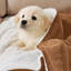 Couverture en molleton doux Microplush-657181713-631108283