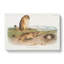 Prairie Dogs by J.W. Audubon - Wrapped Canvas-55322676