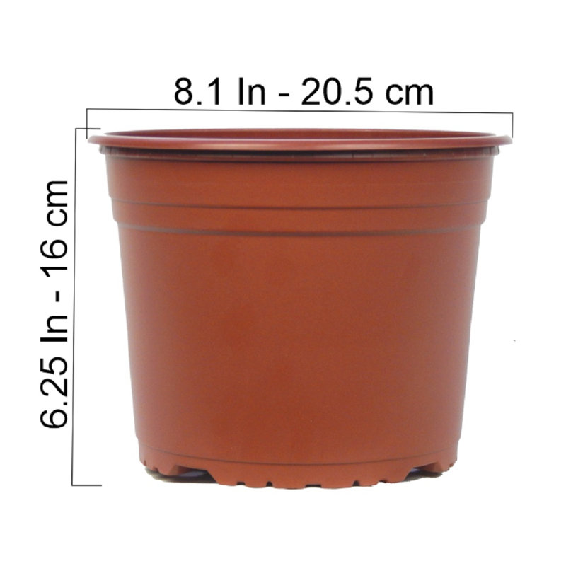 8 po en terre cuite ronde en plastique Arlmont & Co. (paquet de 10)