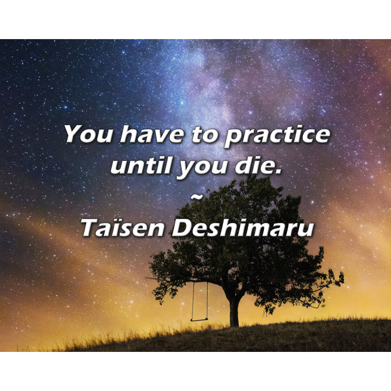 Citation de Taïsen Deshimaru: Vous devez vous entraîner jusqu'à votre mort., H 26 po x l 32 po