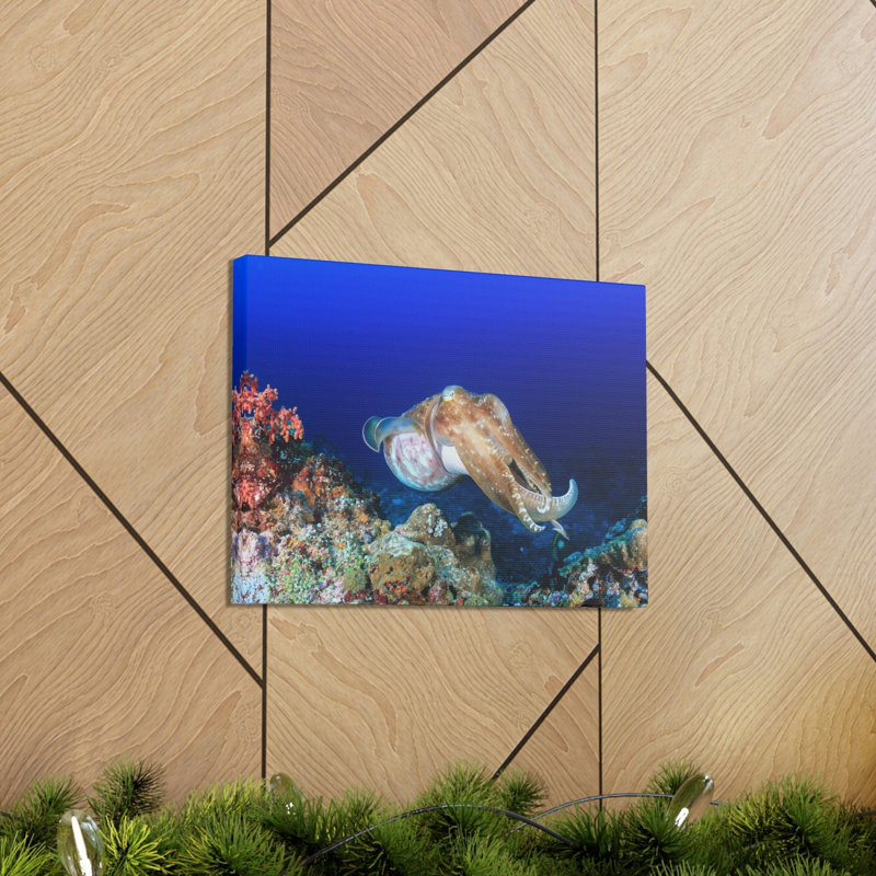Hunting Cuttlefish on a Coral Reef Print Animal Wall Art, 18" H x 24" W