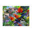 Perroquets-reproduction sur toile tendue-26855515