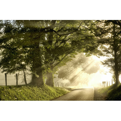Fresh Morning I
