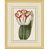 Fresh Flowers 10 Print