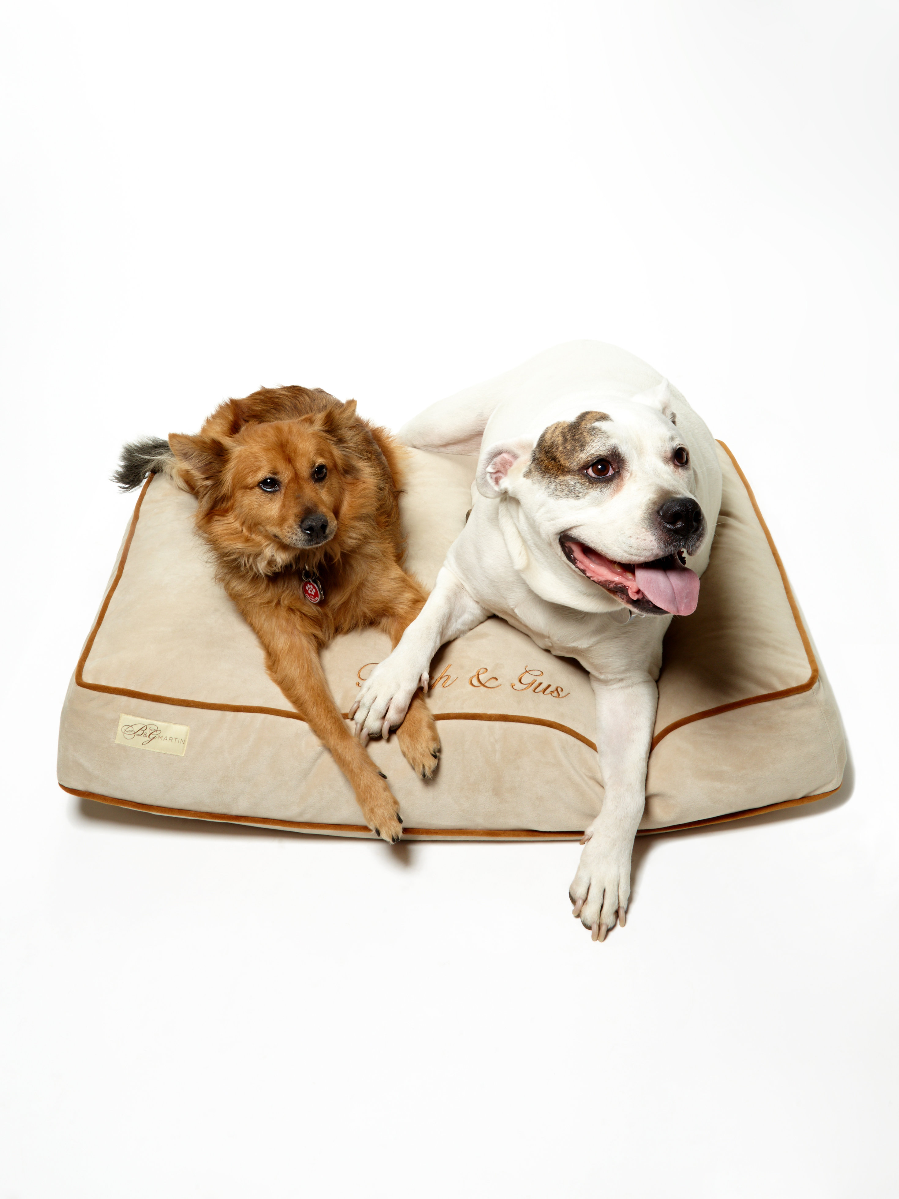 B&GMartin B&G Martin Orthopedic Faux Suede Pet Bed Wayfair